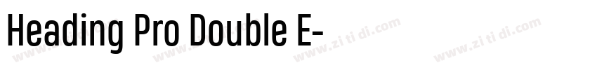 Heading Pro Double E字体转换